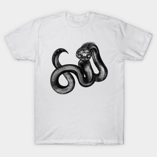 basilisk T-Shirt